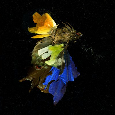 Insecticide 15, 2009 (C-type foto) door Mat Collishaw