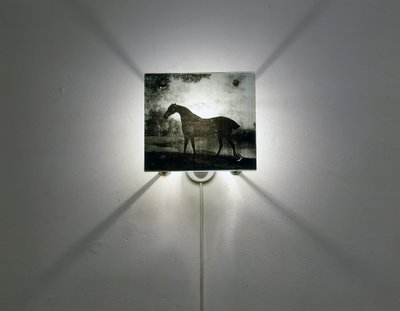 Stubbs Paarden door Mat Collishaw