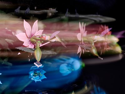 De Centrifugale Ziel, 2016 (Acryl, aluminium, staal, LED-verlichting, motor, elektronisch circuit, hars en verf) door Mat Collishaw