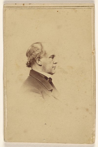 [Niet-geïdentificeerde man in profiel, gedrukt in vignetstijl] door Mathew B. Brady