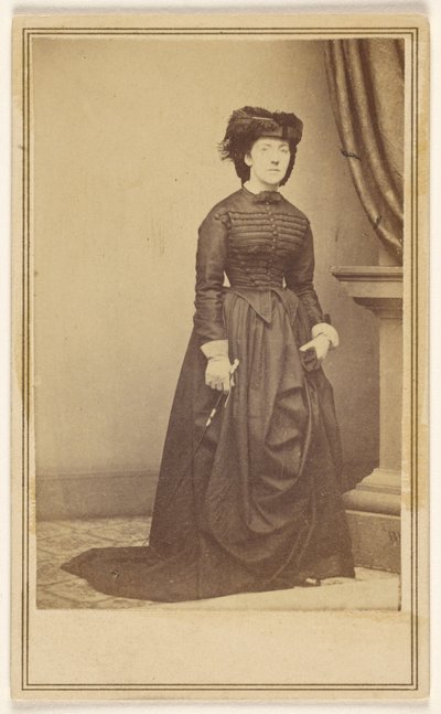  door Mathew B. Brady