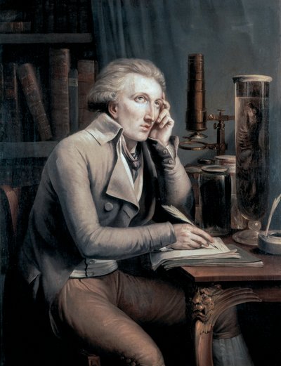Portret van Georges Leopold Cuvier door Mathieu Ignace van Bree