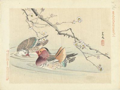 Twee eenden door Matsumura Keibun