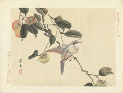 Vogel en kaki door Matsumura Keibun