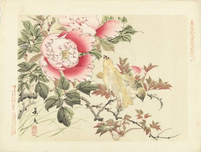 Vogels en pioenrozen Bloemen- en vogelschetsen van Keibun- deel één door Matsumura Keibun