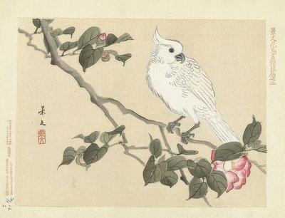 Witte Kaketoe op een Cameliatak door Matsumura Keibun