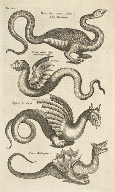 Tab XII, Mythische wezens, Draken, Illustratie uit 