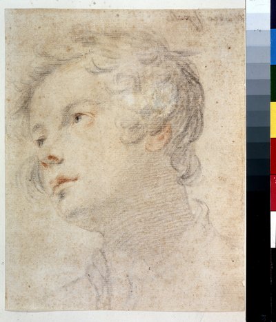 Hoofd van een jongen door Matteo Rosselli