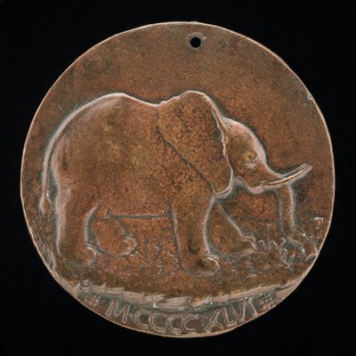 De Malatesta-olifant in een weide [achterkant], 1446 door Matteo di Andrea de Pasti