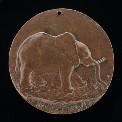 De Malatesta Olifant in een Weide (achterkant) door Matteo di Andrea de Pasti