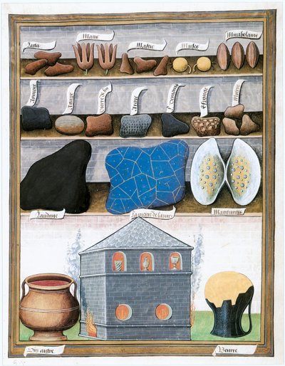  door Matthaeus Platearius