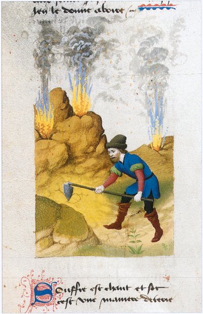  door Matthaeus Platearius