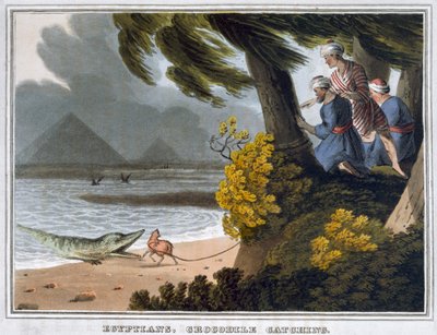 Egyptenaren, krokodillen vangen door Matthew Dubourg