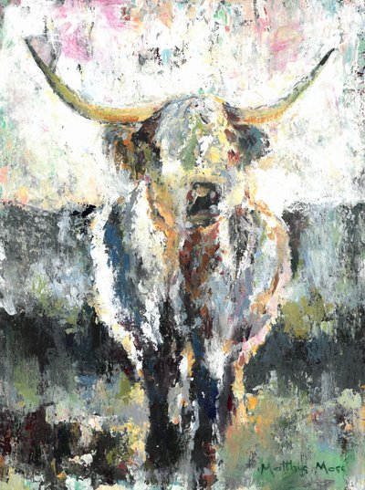 Highland-koe met een karakteristieke vachttextuur door Matthys Moss