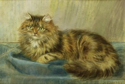 Perzische Kat door Maud D. Heaps