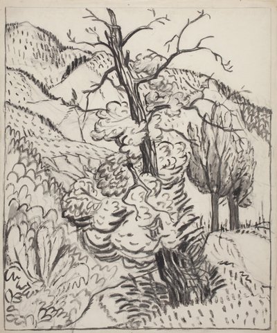 Boom op berghelling, c.1930 (penseel, inkt  houtskool op gebroken wit papier) door Maud Hunt Squire