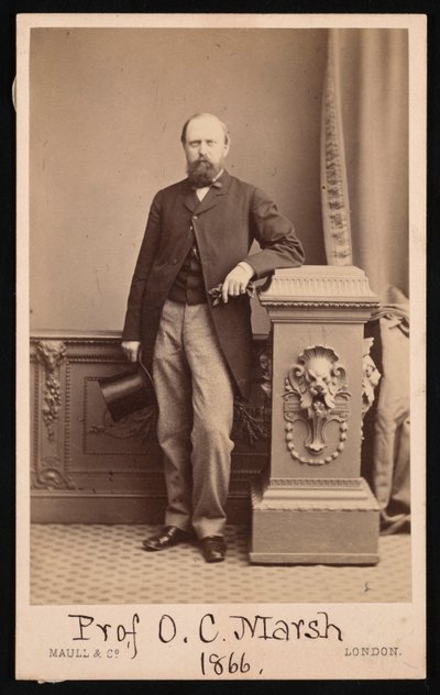 Portret van Othniel Charles Marsh 1831-1879 door Maull and Co