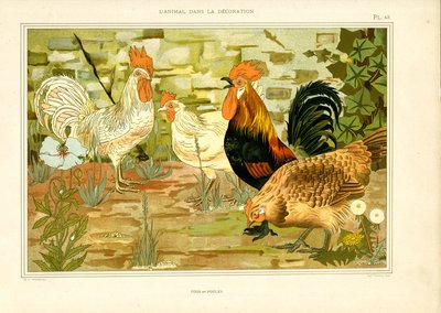 Naturalistische voorstelling van kippen en hanen (litho) door Maurice Pillard Verneuil