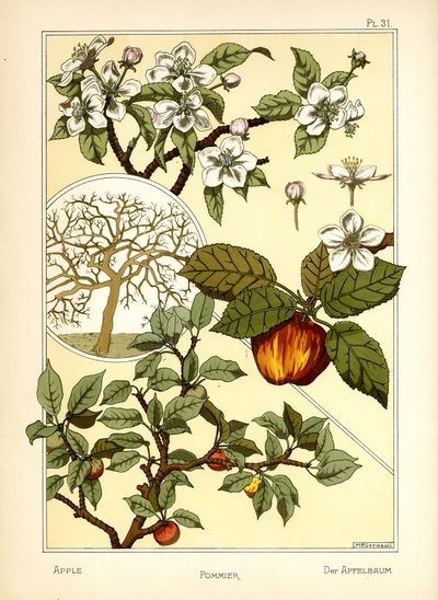 De appelboom door Maurice Pillard Verneuil