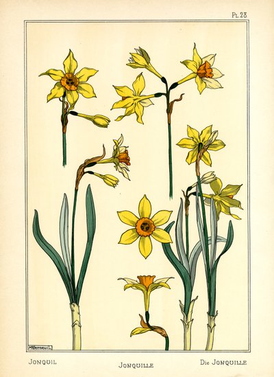 De narcis door Maurice Pillard Verneuil