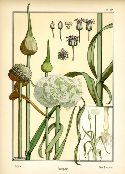 De prei door Maurice Pillard Verneuil