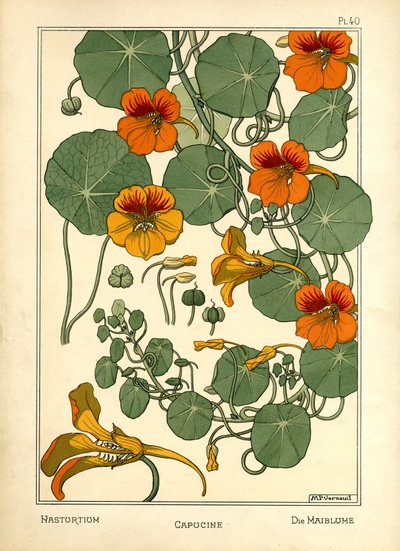 De Oost-Indische kers door Maurice Pillard Verneuil