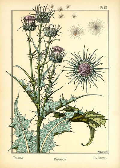 De distel door Maurice Pillard Verneuil