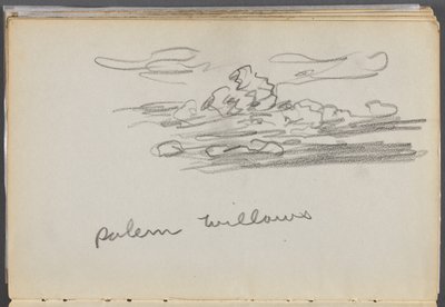 Schetsboek, The Dells, nr. 127, pagina 184: "Salem Willows". door Maurice Prendergast