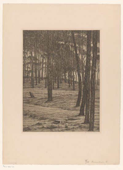 Dennenbosch I door Maurits van der Valk (signed by artist)