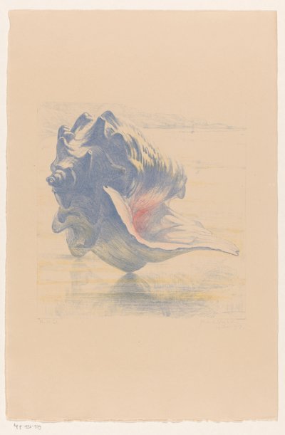 Schelp door Maurits van der Valk (signed by artist)