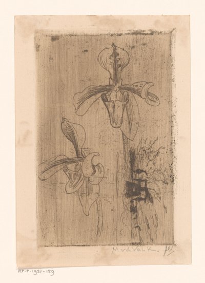 Twee orchideeën en een kar op het strand door Maurits van der Valk (signed by artist)