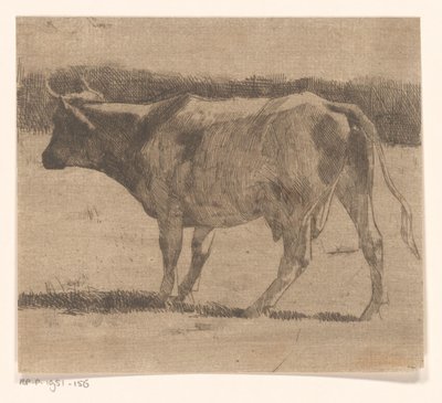Koe in een weiland door Maurits van der Valk