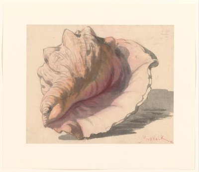Schelp door Maurits van der Valk