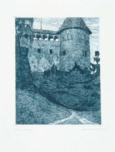 Kasteel Hallegg door Max Bradaczek