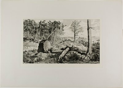 Simplicius in de eenzaamheid van het bos, plaat tien uit Intermezzos door Max Klinger