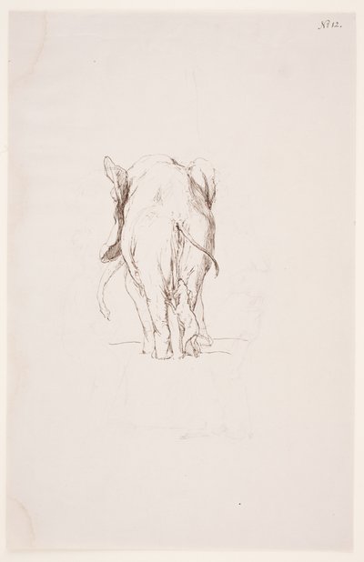 Weg der Besmetting - Olifant en snuffelende hond door Max Klinger