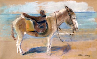 Ezel op het strand van Noordwijk, 1908 door Max Liebermann