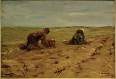 Aardappeloogst in de duinen door Max Liebermann