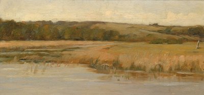 Heuvel en moeras door Max Weyl