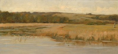 Heuvel en moerasland, eind 19e-begin 20e eeuw door Max Weyl