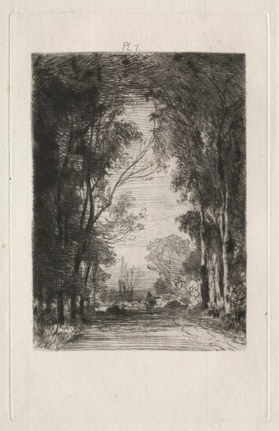 Reiziger op een weg in een bos, 1866 door Maxime Lalanne