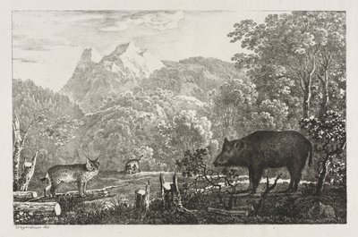 Wild Zwijn, Wilde Kat en Lynx door Maximilian Josef Wagenbauer