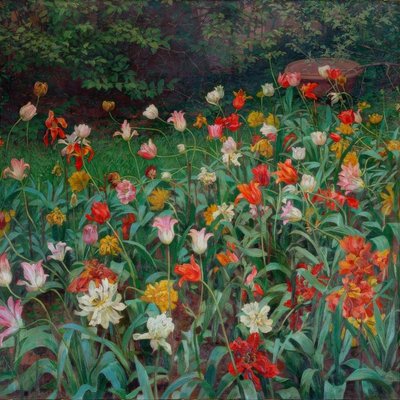 Tulpen door Maximilian Lenz