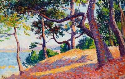 Landschap in Saint-Tropez door Maximilien Luce