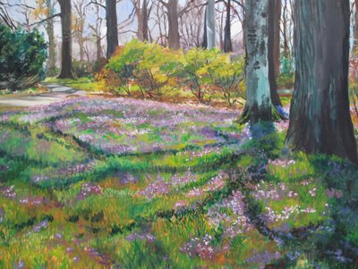 Lentebloemenpad in het park door Maxine Shore