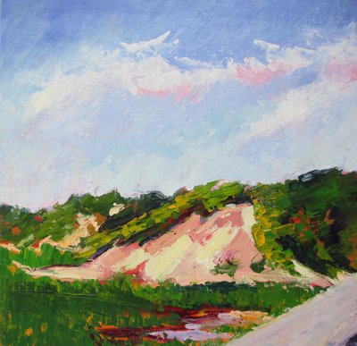 Levendig duinlandschap door Maxine Shore