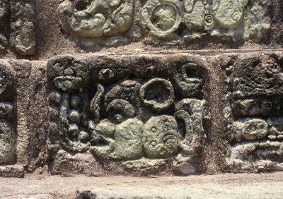 Glyph van de stad Copan op de Hiërogliefen Trap, Late Klassieke Periode (600-900) ca. 760 AD door Mayan