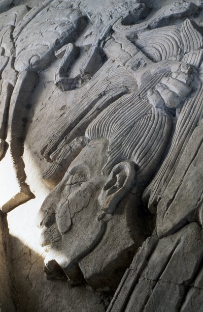 Reliëf op een piramide, Late Klassieke periode (600-900 AD) door Mayan