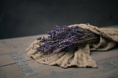 Bundel gedroogde lavendel door Mayra Pama