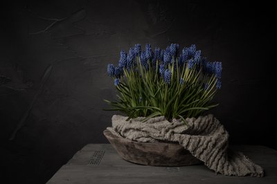 Rustieke blauwe bloemen door Mayra Pama